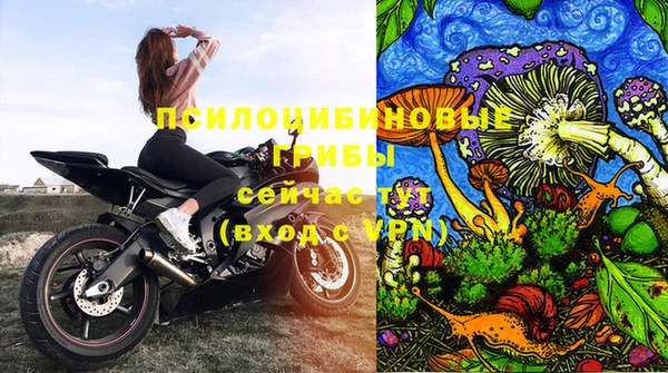 ALPHA-PVP Медногорск