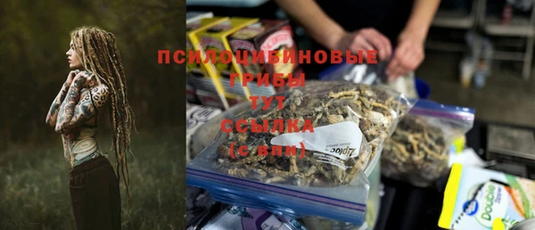 твердый Михайловск