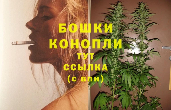 сатива Майский